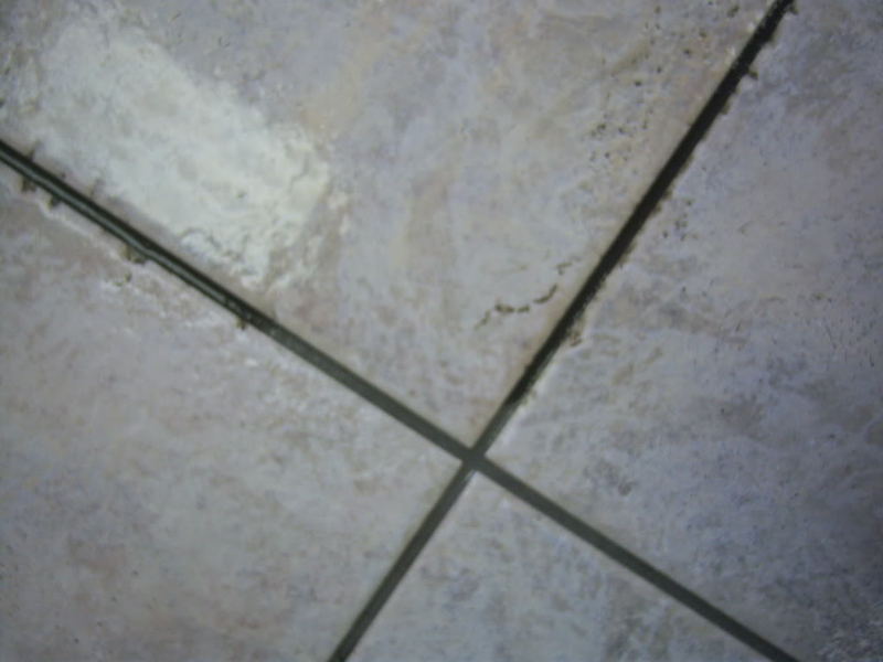 100_2113.jpg