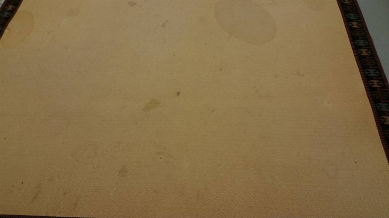 15220152_1174739069242456_3460280196442656586_n.jpg