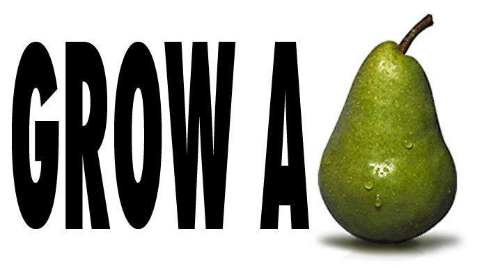 1621391160614.png