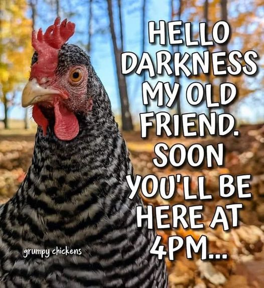 1699158035832.png