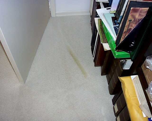 DoorStain1.jpg