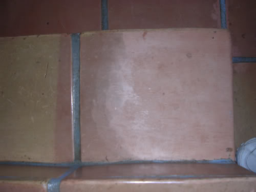 DSCN1744_small.jpg
