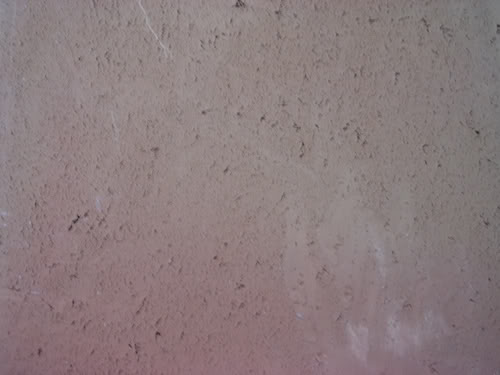 DSCN1793_edit.jpg