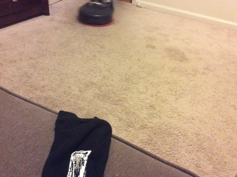image.jpeg