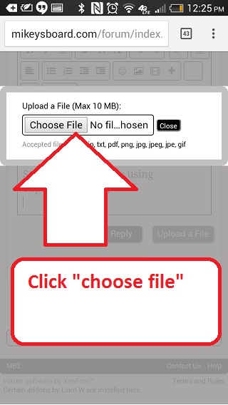 m2.jpg