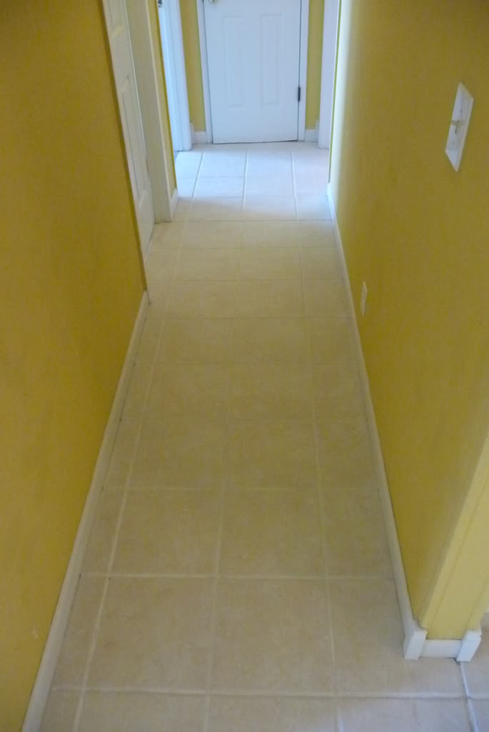 P1000240.jpg