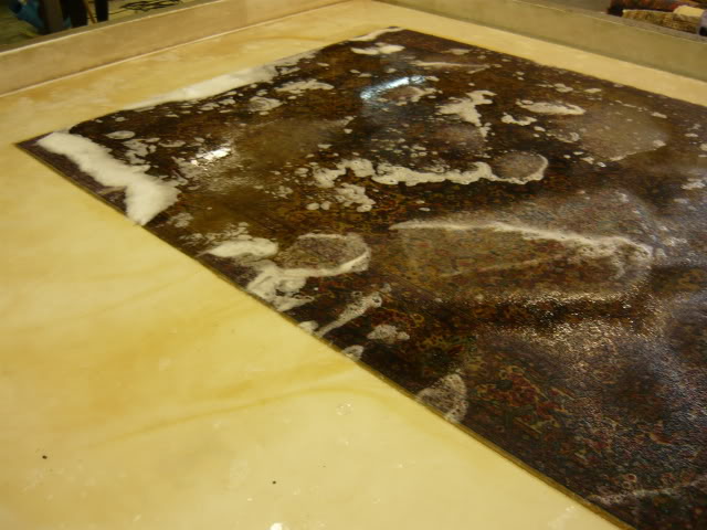 P1000476.jpg