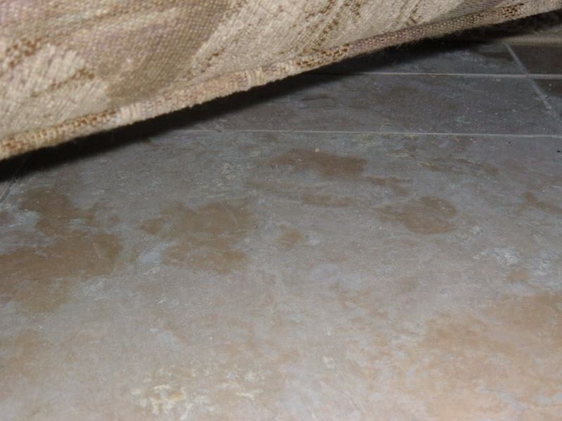 photos003.jpg