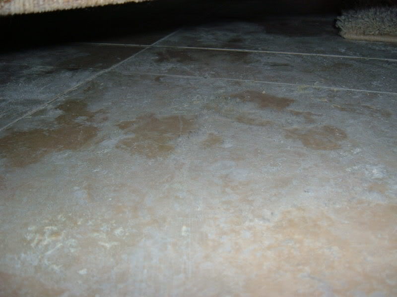 photos013.jpg