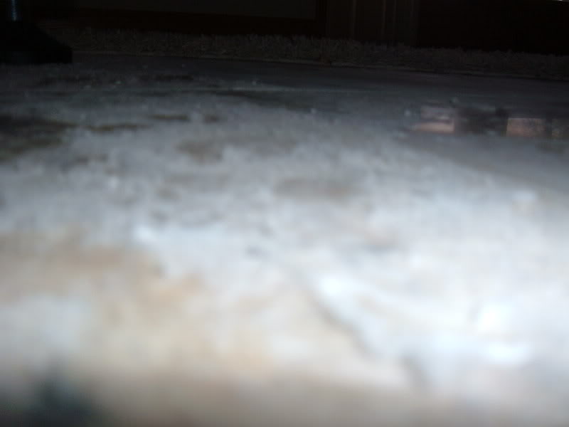 photos017.jpg