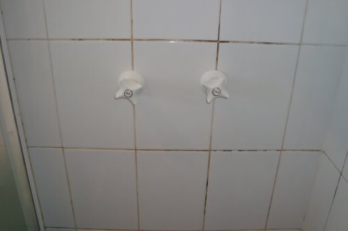 pics107d.jpg