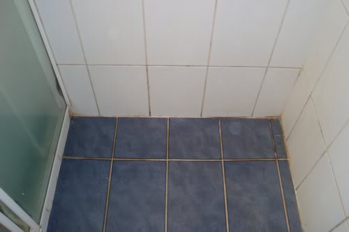 pics108c.jpg