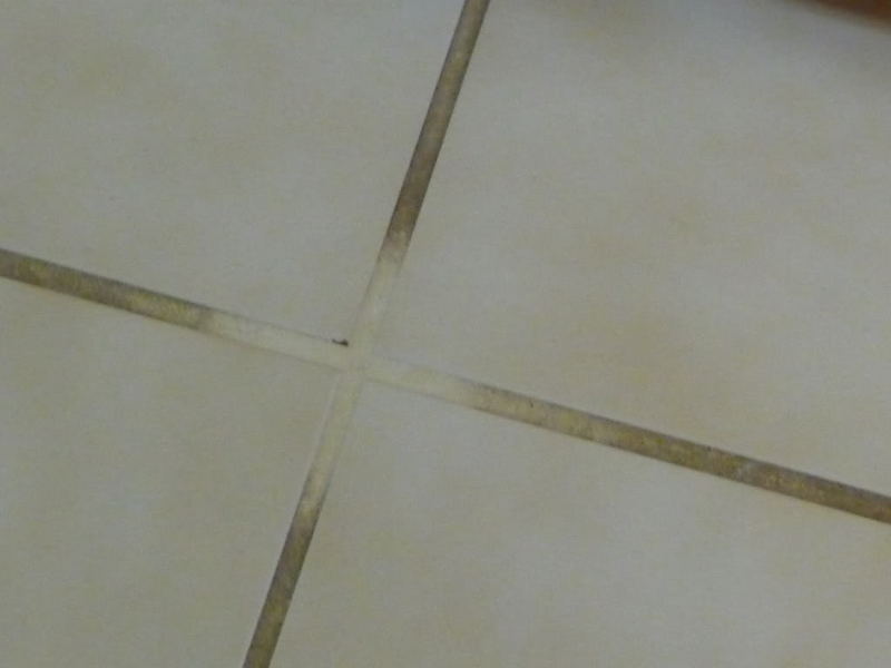ss008.jpg