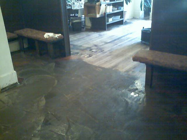 wood3.jpg