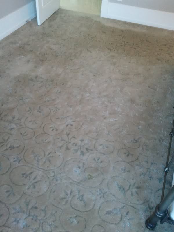 woolcarpet.jpg
